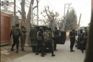 Two terrorists arrested in Budgam