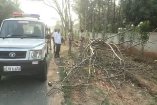 ಮರದ ಕೊಂಬೆ ಬಿದ್ದು ಯುವಕ ಸಾವು