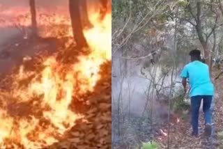 Fire in forests of Ramgarh