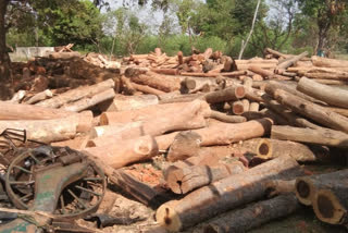 Illegal wood seized in Hazaribag