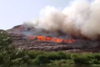 Sariska Tiger Reserve fire: Army, IAF being roped in to douse flames