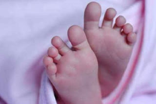 Two newborns in AP and Telangana sold  one reunited with parents, search is on for another  Newborn sold in NIzamabad district of Telangana  Newborn sold for Rs 2 lakhs  rivate hospital at Ashwaraopet in Bhadradri Kothagudem district  Allipalli village of West Godavari district,