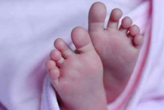 Two newborns in AP and Telangana sold; one reunited with parents, search is on for another