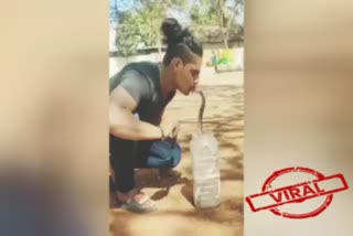 'Reel' cost a young manfor kissing a cobra