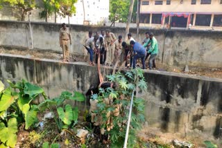 ಮೋರಿಗೆ ಬಿದ್ದ ಹಸು ರಕ್ಷಣೆ