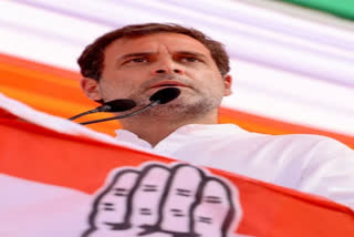 Rahul Gandhi slams BJP
