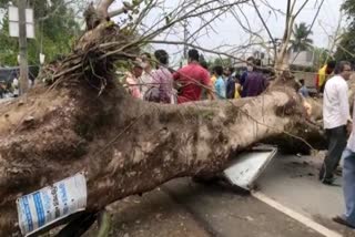 accident at maynaguri