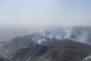 forest fire in sariska