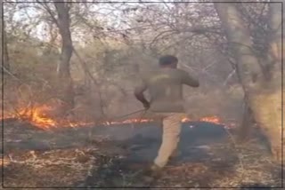 Huge Fire In Sariska Tiger Reserve