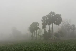 Watch foggy weather in summer season in Nalanda