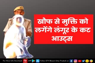 Meerut latest news  etv bharat up news  cut outs of langurs  installed to drive away  Meerut News  बंदरों के आतंक  मेरठ में बंदरों का आतंक  लंगूरों के कट आउट  Forest Department  लंगूर के कट आउट्स  terror of monkeys