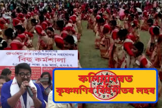 bihu dance workshop at kaliabor ended