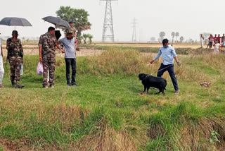 कुते की मौत