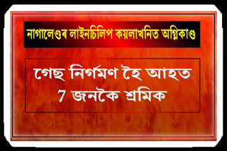 7 workers caught in fire due to gas emissions in Nagaland coal mine