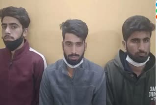 kashmiri-students-charged-with-sedition-for-cheering-pak-in-t20-wc-granted-bail