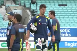 mitchell marsh