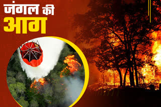 forest-fire-incidents-may-increase-in-uttarakhand-from-april-3