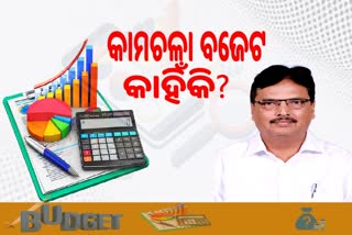 କାମଚଳା ବଜେଟ ଆଣିଲେ ସରକାର