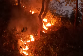 fire in forests of Dumka