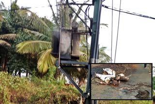 Police write letter IISC relating to the Transformer blast Case