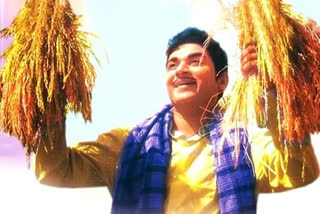 Dr Rajkumar movie Bangarada Manushya completed 50 years