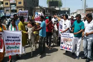 Congress Protest in Patan: પાટણમાં કોંગ્રેસે ગધેડા ઉપર ગેસના બાટલા મૂકી મોંઘવારીનો કર્યો વિરોધ