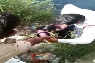 woman jumped in agra canal