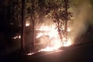 Fire in biranchi forest
