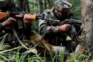 One terrorist killed in encounter between terrorists and security forces in Jammu and Kashmir's Shopian