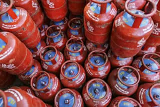 Commercial Cooking LPG Gas Price