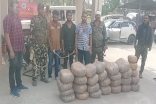 Hemp recovered in Aurangabad