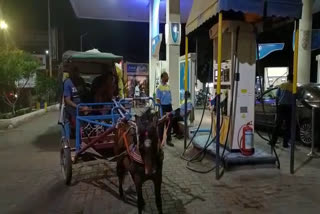 Petrol Diesel price in India  Oil price in India  പെട്രോള്‍ പമ്പില്‍ കുതിരവണ്ടി  ഇന്ധനവിലക്കെതിരെ പ്രതിഷേധം  അമരാവതിയില്‍ ഒരു പെട്രോള്‍ പമ്പില്‍ കുതിര വണ്ടി