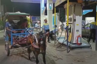 Viral video Man arrives on horse carriage to inquire fuel prices in Amravati petrol station