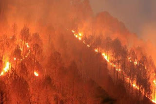 forest fire in tehri