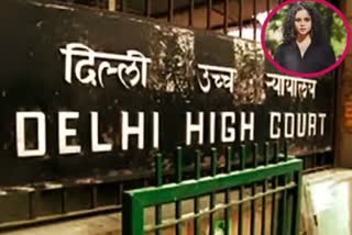 Delhi High Court On Rana Ayyub: دہلی ہائی کورٹ سے رانا ایوب کو فوری راحت نہیں