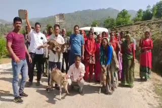 villagers protest with cattle