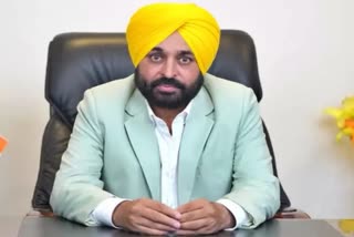 Punjab CM Bhagwant Mann