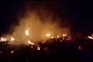 Crop caught fire in a field in Jaipur