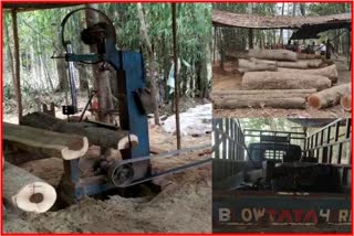 Illegal Saw mill seized