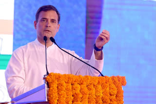 Congress leader rahul gandhi karnataka visit