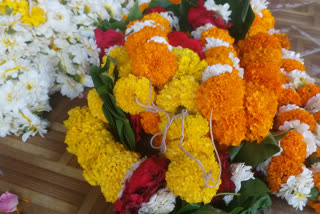 Chhindwara effect of summer on flower market