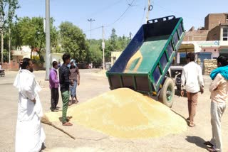Grain procurement started in Haryana
