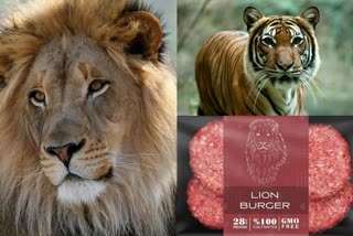 lab-grown-food-startup-will-soon-serve-lion-tiger-and-elephant-meat