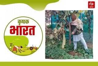 organic farming in Haryana