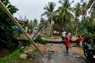 trees-power-poles-uprooted-after-heavy-rain-in-badravati