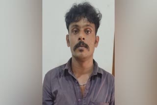 പേർഷ്യൻ പൂച്ചകളെ മോഷ്ടിച്ച പ്രതി പിടിയിൽ  Defendant arrested for stealing Persian cats in pala  stealing Persian cats in pala  പെറ്റ്സ് പാർക്കിൽ നിന്ന് പേർഷ്യൻ പൂച്ചകളെ മോഷ്‌ടിച്ച പ്രതി പിടിയിൽ