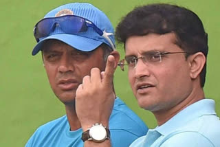 Sourav Ganguly on Rahul Dravid, Sourav Ganguly statement, Sourav Ganguly on India coach, BCCI president Sourav Ganguly