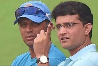 Sourav Ganguly on Rahul Dravid  Sourav Ganguly statement  Sourav Ganguly on India coach  BCCI president Sourav Ganguly  ബിസിസിഐ പ്രസിഡന്‍റ് സൗരവ് ഗാംഗുലി  സൗരവ് ഗാംഗുലി  രാഹുൽ ദ്രാവിഡ്