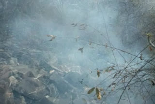 Forest fire yet again in forests of Rajasthans Siraska