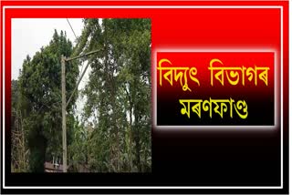 allegation-of-supplying-electricity-dangerously-by-the-power-department-in-bongaigaon